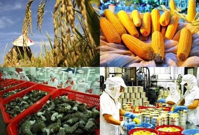 Xuất khẩu nông sản nhiều tín hiệu khả quan - Ảnh 1. Xuất khẩu nông sản nhiều tín hiệu khả quan - Ảnh 1.