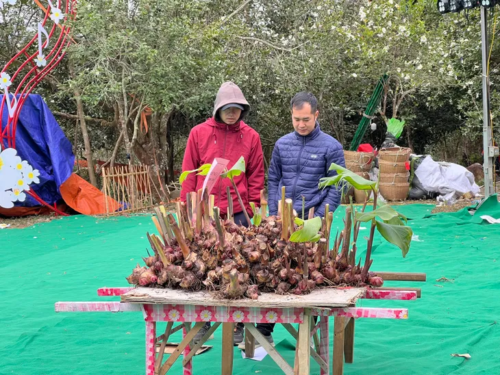 Nhộn nhịp Lễ hội hoa sở Bình Liêu - Ảnh 5. Nhộn nhịp Lễ hội hoa sở Bình Liêu - Ảnh 5.