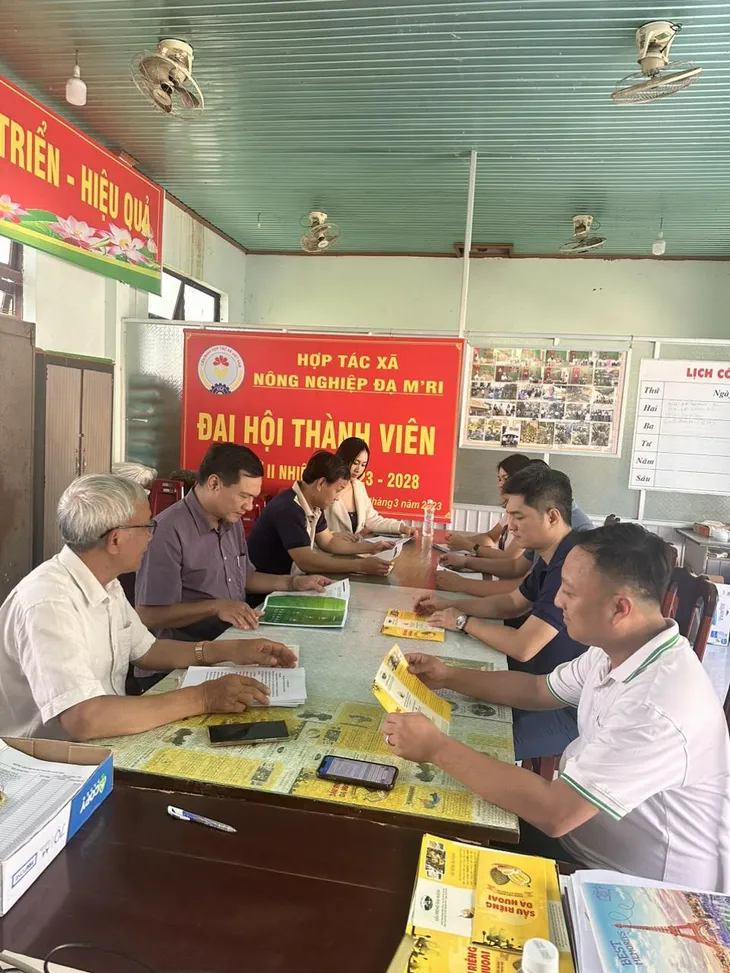 HTX Đạ M’Ri – Cách làm thương hiệu ở thủ phủ sầu riêng Đạ Huoai - Ảnh 2.