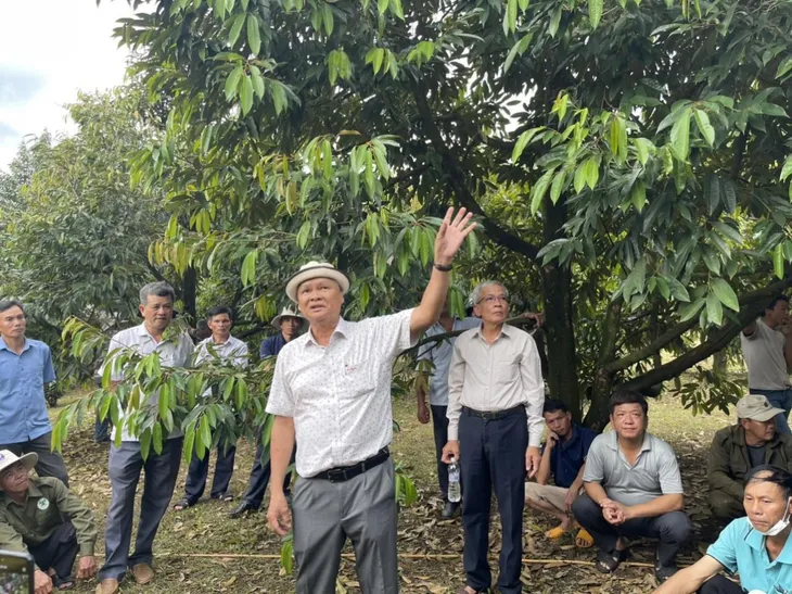 HTX Đạ M’Ri – Cách làm thương hiệu ở thủ phủ sầu riêng Đạ Huoai - Ảnh 1.
