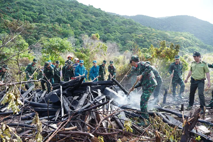 Côn Đảo: Huy động hàng trăm người diễn tập phòng chống cháy rừng - Ảnh 1. Côn Đảo: Huy động hàng trăm người diễn tập phòng chống cháy rừng - Ảnh 1.