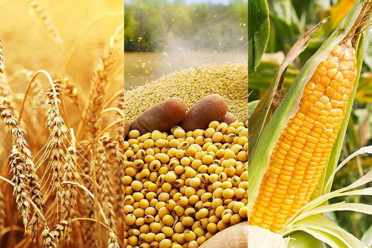 Kim loại quý lên ngôi - Ảnh 3. Kim loại quý lên ngôi - Ảnh 3.