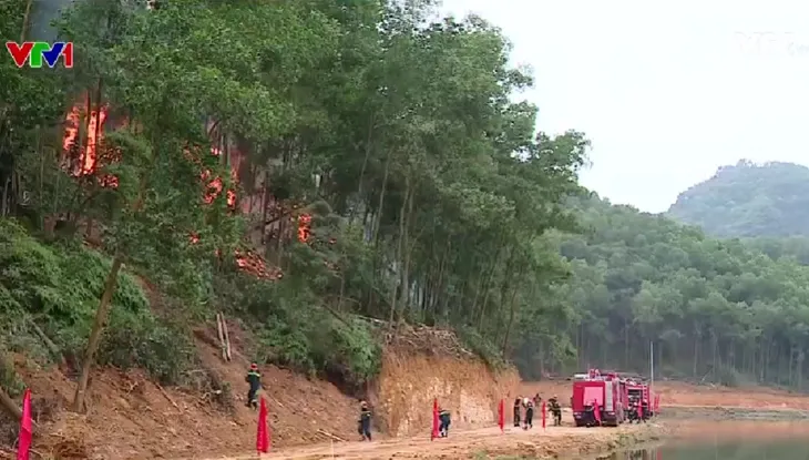 Diễn tập phòng cháy, chữa cháy rừng cấp quốc gia - Ảnh 2. Diễn tập phòng cháy, chữa cháy rừng cấp quốc gia - Ảnh 2.