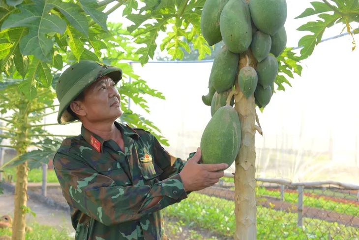Chuẩn bị chu đáo cho bộ đội đón Tết - Ảnh 1. Chuẩn bị chu đáo cho bộ đội đón Tết - Ảnh 1.