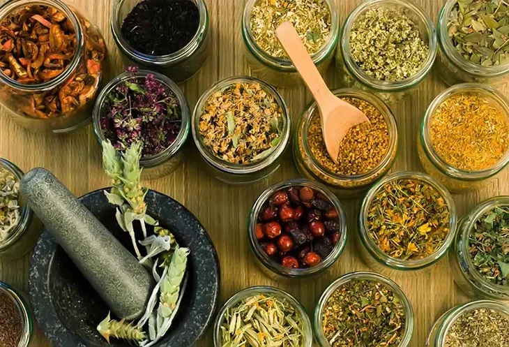 Bổ Phế Nam Hà - tinh hoa giữa y học cổ truyền và công nghệ y học hiện đại - Ảnh 1. Bổ Phế Nam Hà - tinh hoa giữa y học cổ truyền và công nghệ y học hiện đại - Ảnh 1.