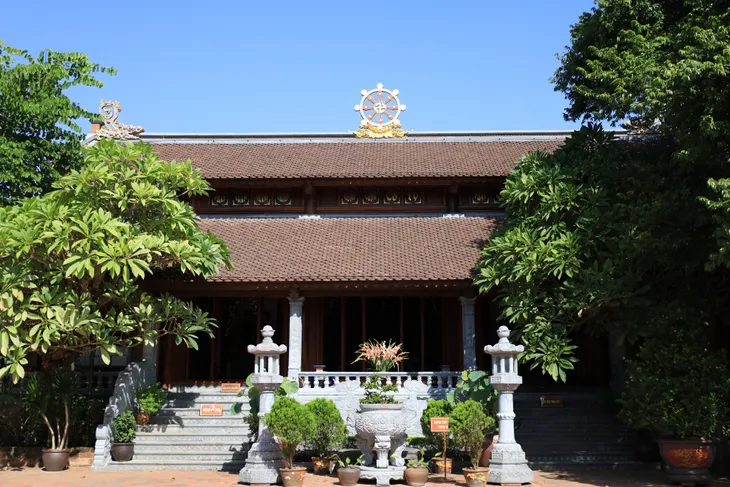 Chiêm ngưỡng 2 cây di sản hàng trăm tuổi ở chùa Hưng Long - Ảnh 8. Chiêm ngưỡng 2 cây di sản hàng trăm tuổi ở chùa Hưng Long - Ảnh 8.