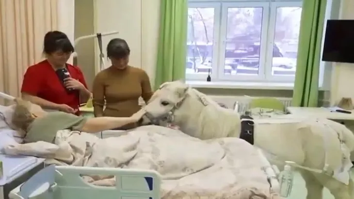 Trị liệu bằng cách nói chuyện với những chú ngựa - Ảnh 1. Trị liệu bằng cách nói chuyện với những chú ngựa - Ảnh 1.