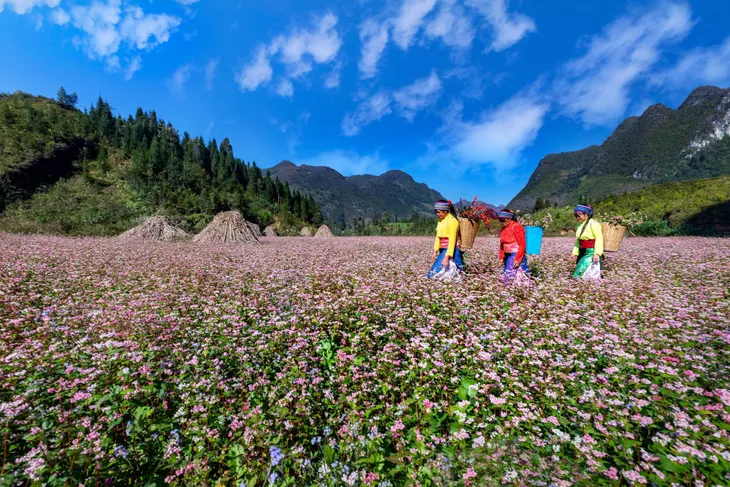 Điện ảnh dẫn lối để du lịch Hà Giang cất cánh - Ảnh 2. Điện ảnh dẫn lối để du lịch Hà Giang cất cánh - Ảnh 2.