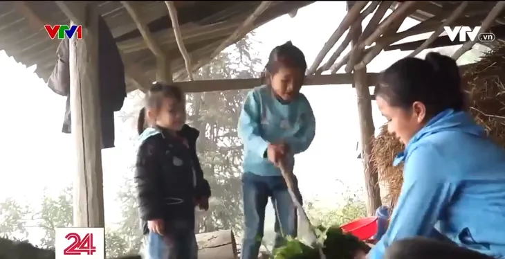 Cặp lá yêu thương: Mặt trời của mẹ - Ảnh 1. Cặp lá yêu thương: Mặt trời của mẹ - Ảnh 1.