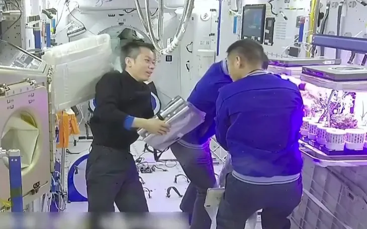Thu hoạch rau trên Khu vườn vũ trụ - Ảnh 1. Thu hoạch rau trên Khu vườn vũ trụ - Ảnh 1.