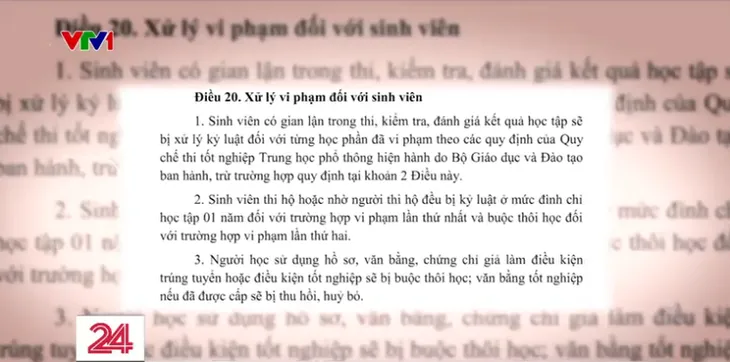 Học chưa xong đã toàn... làm hộ - Ảnh 12.