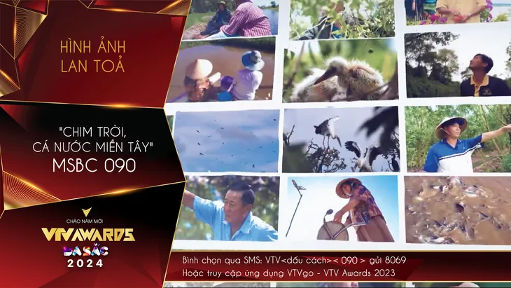 10 hình ảnh lan tỏa trong “đường đua” giành giải VTV Awards 2023 - Ảnh 6. 10 hình ảnh lan tỏa trong “đường đua” giành giải VTV Awards 2023 - Ảnh 6.