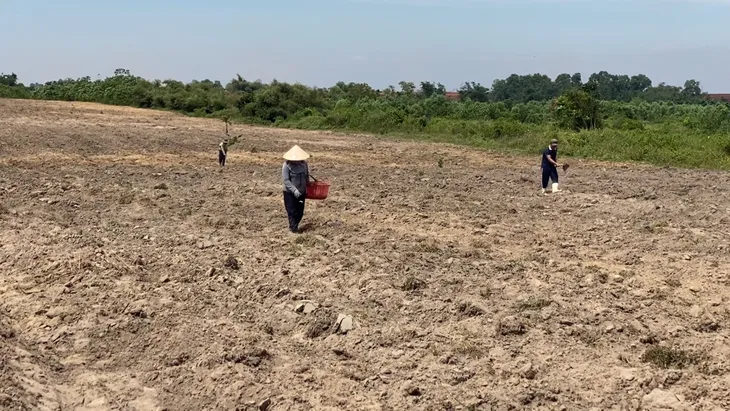 Ngang nhiên chiếm dụng đất dự án sân bay quốc tế Long Thành - Ảnh 2. Ngang nhiên chiếm dụng đất dự án sân bay quốc tế Long Thành - Ảnh 2.