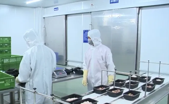 Lao động Việt Nam tại Hàn Quốc bỏ trốn và những hệ lụy - Ảnh 4. Lao động Việt Nam tại Hàn Quốc bỏ trốn và những hệ lụy - Ảnh 4.