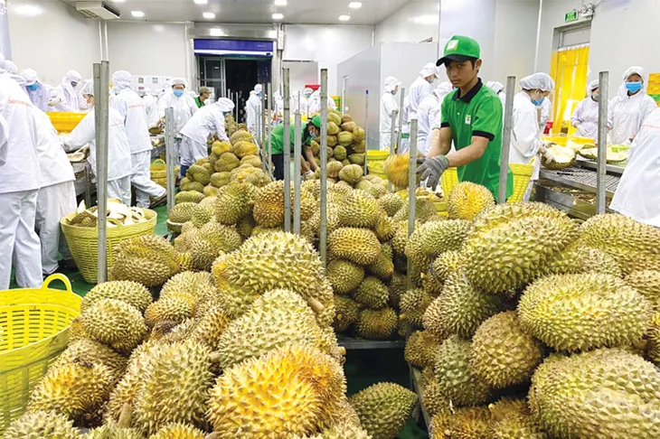 Thúc đẩy tăng trưởng xuất khẩu nông, lâm, thủy sản - Ảnh 2. Thúc đẩy tăng trưởng xuất khẩu nông, lâm, thủy sản - Ảnh 2.