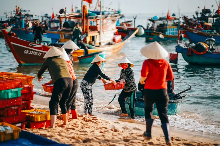 Đợi cá lúc bình minh ở làng chài Nhân Trạch - Ảnh 3. Đợi cá lúc bình minh ở làng chài Nhân Trạch - Ảnh 3.