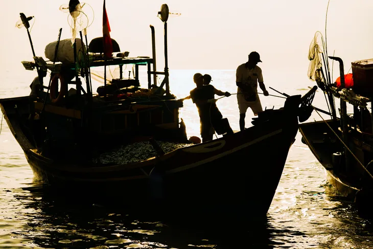 Đợi cá lúc bình minh ở làng chài Nhân Trạch - Ảnh 8. Đợi cá lúc bình minh ở làng chài Nhân Trạch - Ảnh 8.