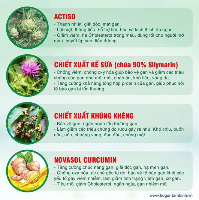 5 cách đơn giản tăng cường chức năng gan hiệu quả - Ảnh 3. 5 cách đơn giản tăng cường chức năng gan hiệu quả - Ảnh 3.