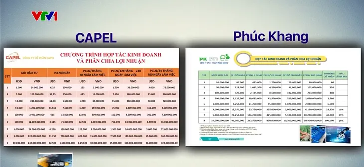 Chiêu trò ve sầu thoát xác của Công ty Capel - Ảnh 3. Chiêu trò ve sầu thoát xác của Công ty Capel - Ảnh 3.