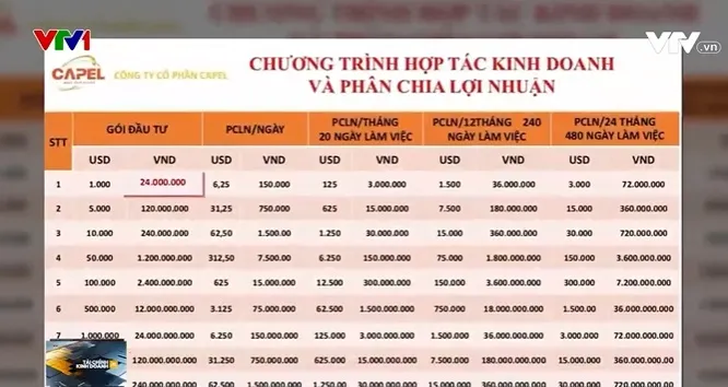 Hợp đồng hợp tác kinh doanh lãi suất khủng - Miếng pho mát trên chiếc bẫy chuột - Ảnh 1. Hợp đồng hợp tác kinh doanh lãi suất khủng - Miếng pho mát trên chiếc bẫy chuột - Ảnh 1.