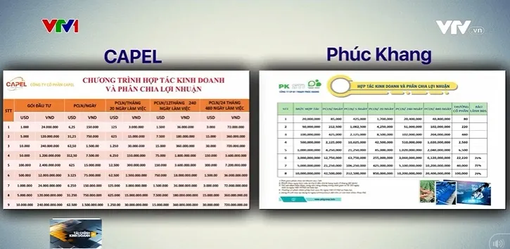 Hợp đồng hợp tác kinh doanh lãi suất khủng - Miếng pho mát trên chiếc bẫy chuột - Ảnh 3. Hợp đồng hợp tác kinh doanh lãi suất khủng - Miếng pho mát trên chiếc bẫy chuột - Ảnh 3.