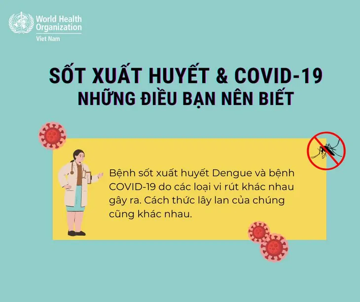 Cách phân biệt sốt xuất huyết và COVID-19 - Ảnh 1. Cách phân biệt sốt xuất huyết và COVID-19 - Ảnh 1.