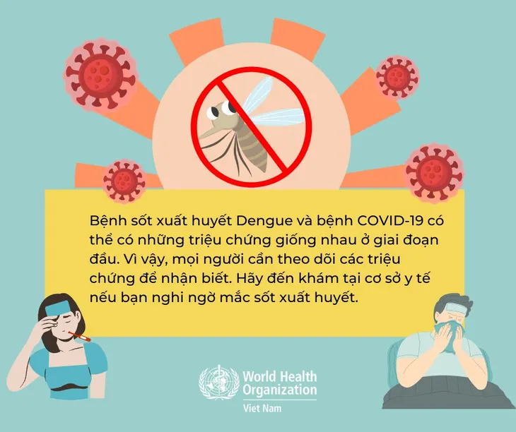 Cách phân biệt sốt xuất huyết và COVID-19 - Ảnh 3. Cách phân biệt sốt xuất huyết và COVID-19 - Ảnh 3.