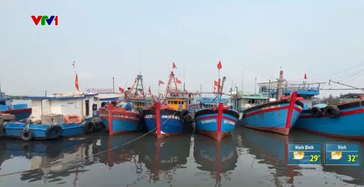 Quảng Ngãi: Một gia đình chính sách bị mất đất 13 năm nay - Ảnh 1. Quảng Ngãi: Một gia đình chính sách bị mất đất 13 năm nay - Ảnh 1.