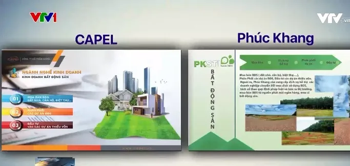 Công ty Capel không trả lại vốn gốc cho nhà đầu tư - Ảnh 1. Công ty Capel không trả lại vốn gốc cho nhà đầu tư - Ảnh 1.