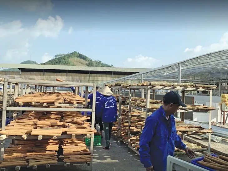 Hỗ trợ giảm lãi suất giúp doanh nghiệp phát triển - Ảnh 1. Hỗ trợ giảm lãi suất giúp doanh nghiệp phát triển - Ảnh 1.