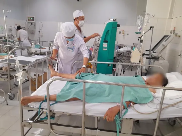 Cứu sống bệnh nhân 81 tuổi bị ong vò vẽ đốt trên 70 vết - Ảnh 1.