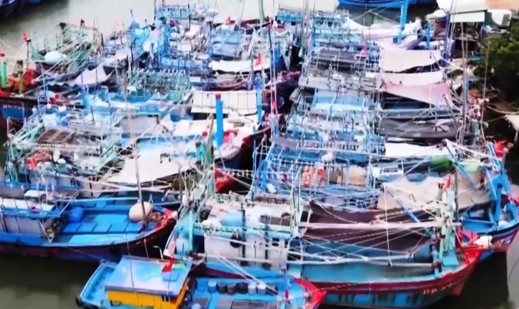 Bàn giải pháp gỡ thẻ vàng thủy sản - Ảnh 2. Bàn giải pháp gỡ thẻ vàng thủy sản - Ảnh 2.