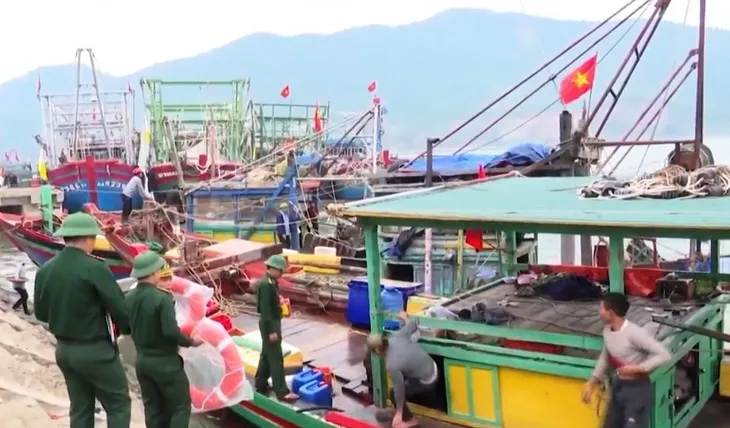 Bàn giải pháp gỡ thẻ vàng thủy sản - Ảnh 1. Bàn giải pháp gỡ thẻ vàng thủy sản - Ảnh 1.