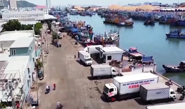Bàn giải pháp gỡ thẻ vàng thủy sản - Ảnh 3. Bàn giải pháp gỡ thẻ vàng thủy sản - Ảnh 3.