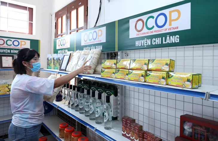 Gia tăng sản phẩm OCOP để mở rộng thị trường - Ảnh 1. Gia tăng sản phẩm OCOP để mở rộng thị trường - Ảnh 1.