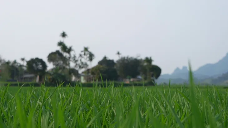 Điểm tựa giữa không trung - Chương trình mới truyền cảm hứng trên VTV5 - Ảnh 9. Điểm tựa giữa không trung - Chương trình mới truyền cảm hứng trên VTV5 - Ảnh 9.