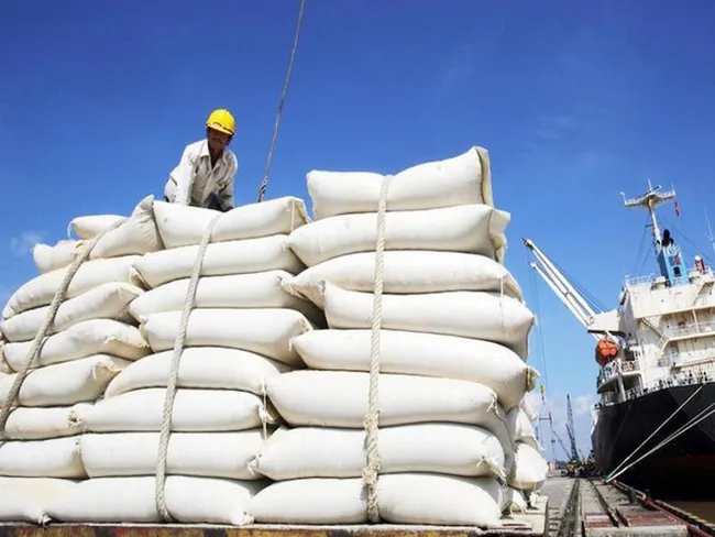 Việt Nam có thể xuất gần 7 triệu gạo tấn năm nay - Ảnh 1. Việt Nam có thể xuất gần 7 triệu gạo tấn năm nay - Ảnh 1.