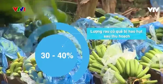 Nông sản giảm cạnh tranh do không chế biến sâu - Ảnh 1. Nông sản giảm cạnh tranh do không chế biến sâu - Ảnh 1.