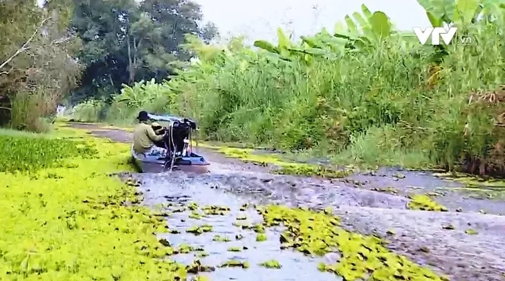 Đánh thức tiềm năng du lịch đất Mũi - Ảnh 3. Đánh thức tiềm năng du lịch đất Mũi - Ảnh 3.