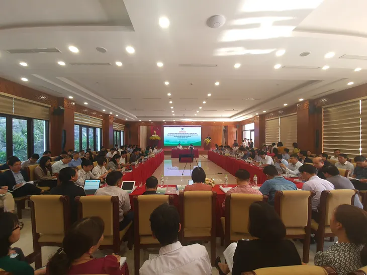 Phối hợp chặt chẽ để triển khai đầu tư, hỗ trợ phát triển vùng trồng dược liệu quý - Ảnh 2. Phối hợp chặt chẽ để triển khai đầu tư, hỗ trợ phát triển vùng trồng dược liệu quý - Ảnh 2.