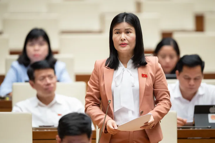 Sửa Luật Đất đai có giảm được đầu cơ, bong bóng bất động sản? - Ảnh 3. Sửa Luật Đất đai có giảm được đầu cơ, bong bóng bất động sản? - Ảnh 3.