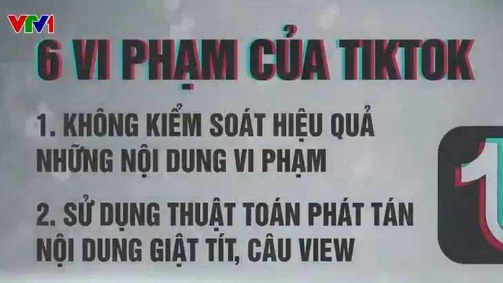Kiên quyết xử lý vi phạm của các nền tảng mạng xã hội - Ảnh 1. Kiên quyết xử lý vi phạm của các nền tảng mạng xã hội - Ảnh 1.