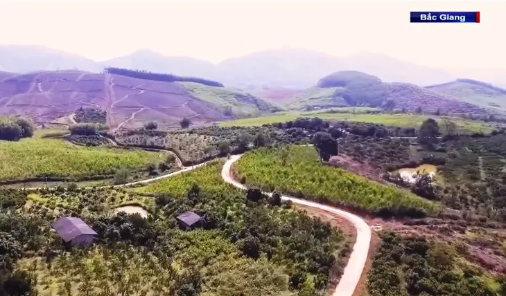 Học tập và làm theo gương Bác: Đảng viên gương mẫu đi đầu - Ảnh 2. Học tập và làm theo gương Bác: Đảng viên gương mẫu đi đầu - Ảnh 2.