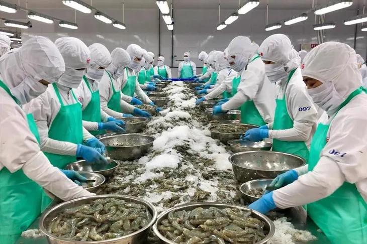 Xuất khẩu thủy sản đối diện nhiều thách thức - Ảnh 1. Xuất khẩu thủy sản đối diện nhiều thách thức - Ảnh 1.