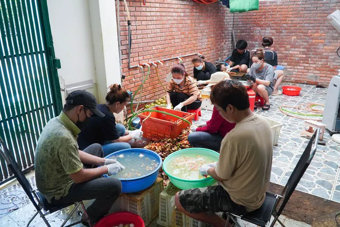 Kiếm nửa triệu đồng mỗi ngày nhờ gọt vỏ măng cụt - Ảnh 1. Kiếm nửa triệu đồng mỗi ngày nhờ gọt vỏ măng cụt - Ảnh 1.