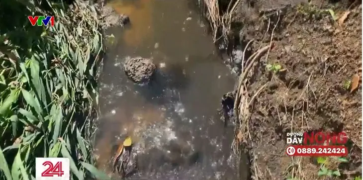 Đồng Nai: Các trang trại chăn nuôi xả thải ra sông suối gây ô nhiễm nguồn nước - Ảnh 2. Đồng Nai: Các trang trại chăn nuôi xả thải ra sông suối gây ô nhiễm nguồn nước - Ảnh 2.