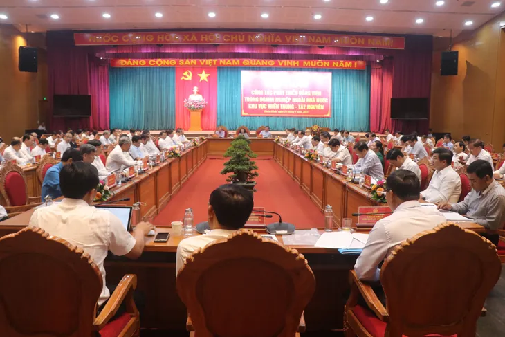Tăng cường phát triển Đảng viên - Ảnh 1.