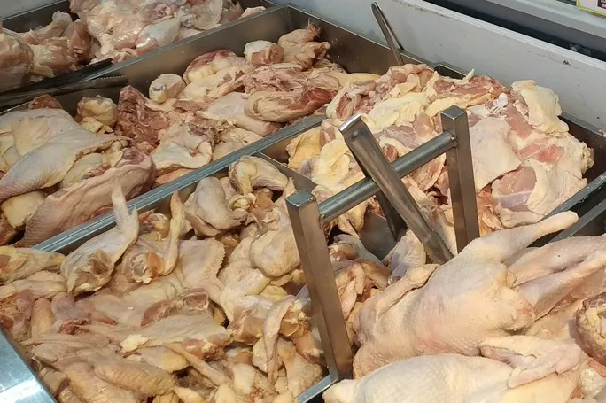 Có hay không gà thải loại nhập khẩu vào Việt Nam? - Ảnh 1. Có hay không gà thải loại nhập khẩu vào Việt Nam? - Ảnh 1.