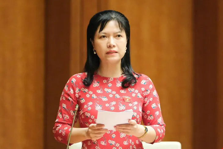 ĐBQH: 4.600 MW điện gió, mặt trời không được lên lưới, tại sao lại nhập khẩu điện? - Ảnh 1. ĐBQH: 4.600 MW điện gió, mặt trời không được lên lưới, tại sao lại nhập khẩu điện? - Ảnh 1.