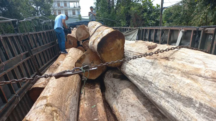 Phát hiện vụ vận chuyển gỗ lậu lớn ở vùng biên Gia Lai - Ảnh 1. Phát hiện vụ vận chuyển gỗ lậu lớn ở vùng biên Gia Lai - Ảnh 1.